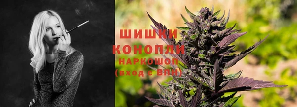 шишки Алзамай