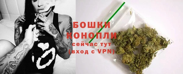 шишки Алзамай
