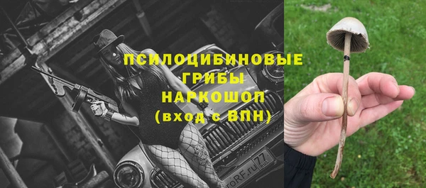 круглые Алексеевка