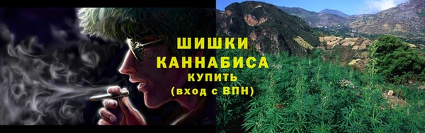 шишки Алзамай